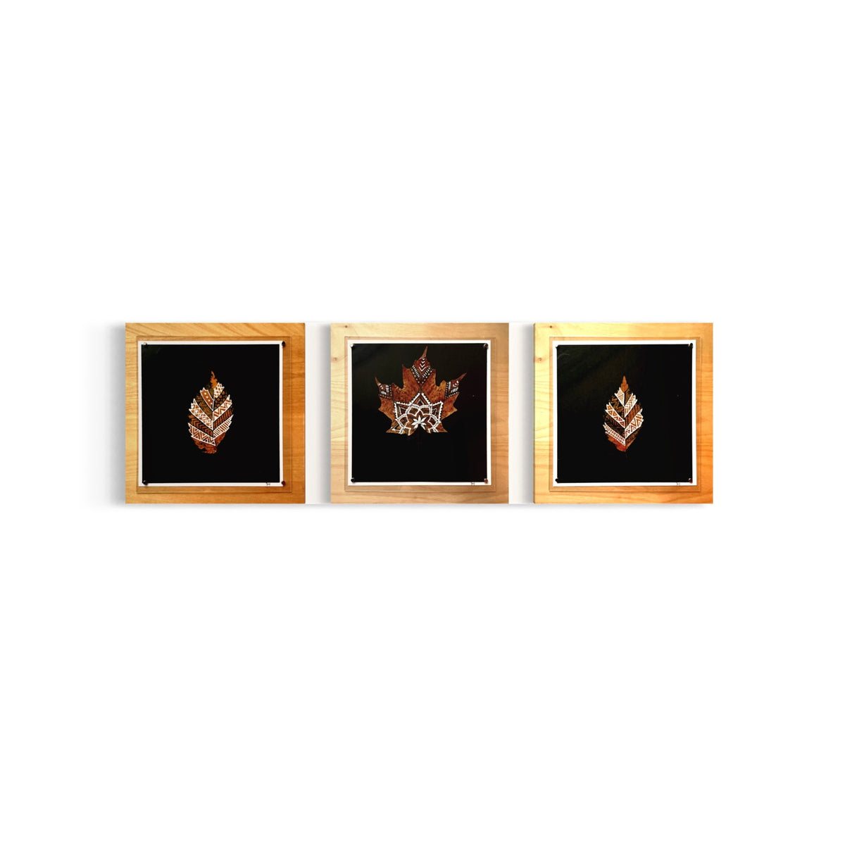 Real Hand Painted Leaves. Set of 3 -Framed