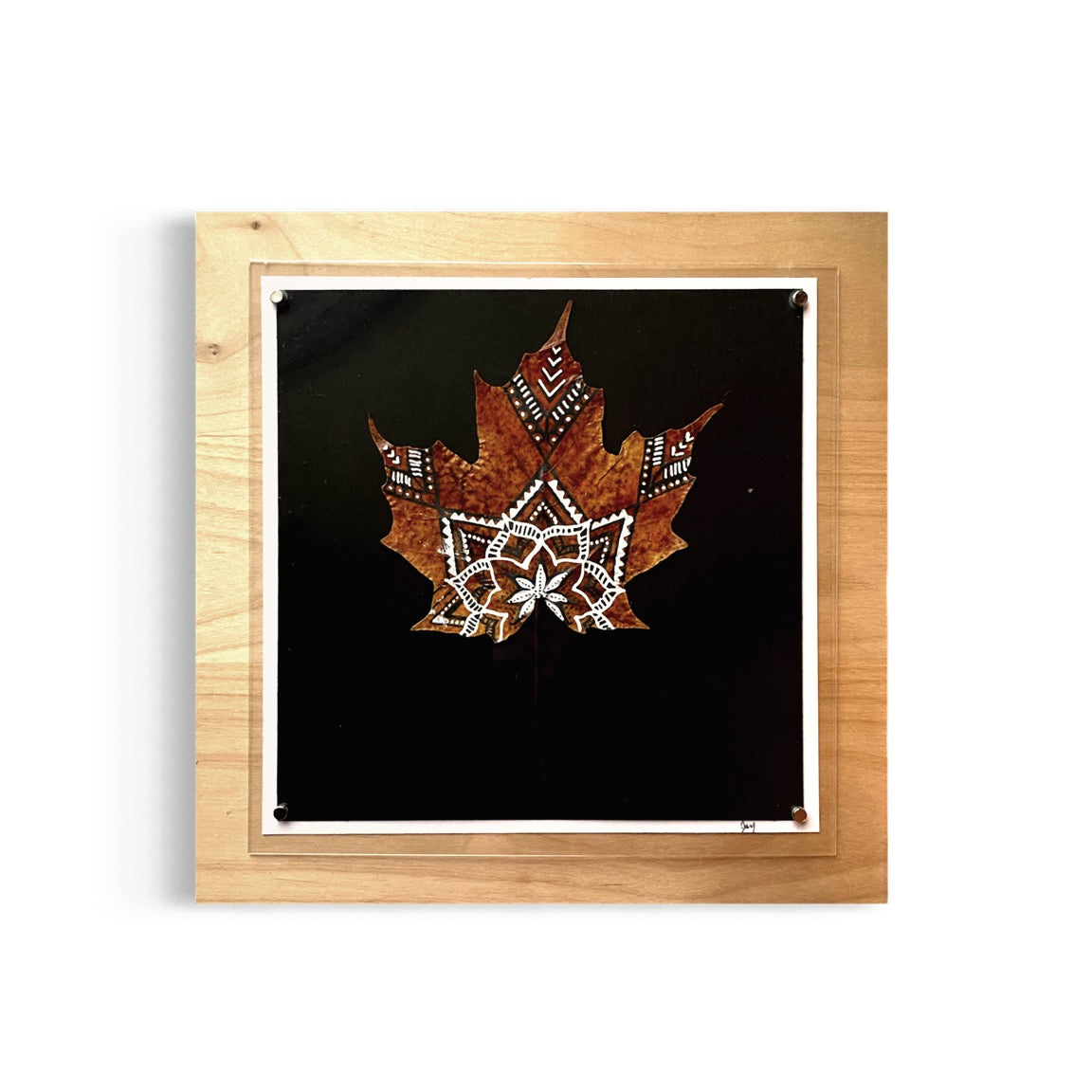 Real Hand Painted Leaves. Set of 3 -Framed